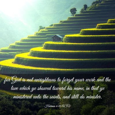 Picture 03 - Hebrews 6:10 ASV - for God is not unrighteous to forget your work - Bible Verse Picture