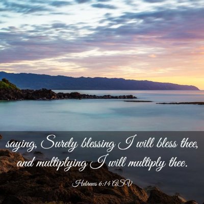 Picture 03 - Hebrews 6:14 ASV - saying, Surely blessing I will bless thee, and - Bible Verse Picture