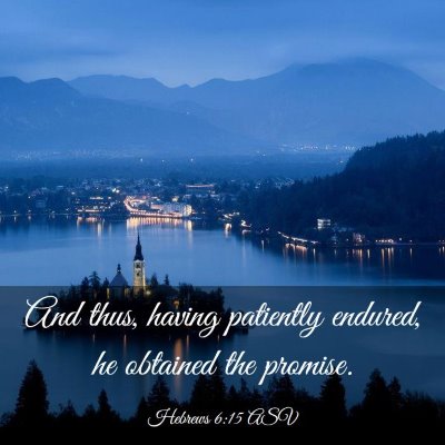 Picture 03 - Hebrews 6:15 ASV - And thus, having patiently endured, he obtained - Bible Verse Picture