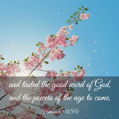 Picture 03 - Hebrews 6:5 ASV - and tasted the good word of God, and the powers - Bible Verse Picture