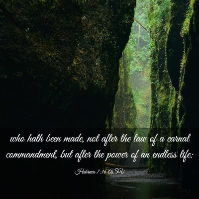 Picture 03 - Hebrews 7:16 ASV - who hath been made, not after the law of a carnal - Bible Verse Picture