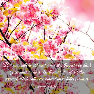 Picture 03 - Hebrews 8:6 ASV - But now hath he obtained a ministry the more - Bible Verse Picture