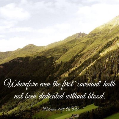 Picture 03 - Hebrews 9:18 ASV - Wherefore even the first `covenant' hath not been - Bible Verse Picture