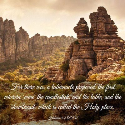 Picture 03 - Hebrews 9:2 ASV - For there was a tabernacle prepared, the first, - Bible Verse Picture