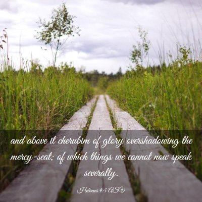 Picture 03 - Hebrews 9:5 ASV - and above it cherubim of glory overshadowing the - Bible Verse Picture
