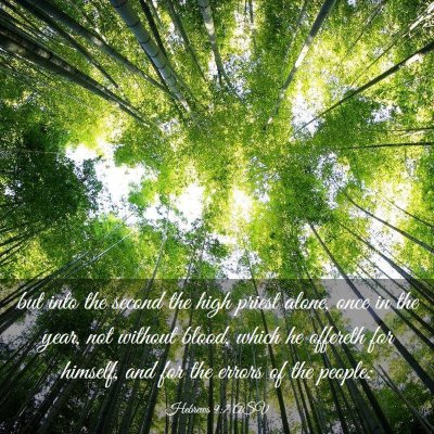 Picture 03 - Hebrews 9:7 ASV - but into the second the high priest alone, once - Bible Verse Picture