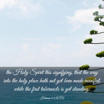 Picture 03 - Hebrews 9:8 ASV - the Holy Spirit this signifying, that the way - Bible Verse Picture