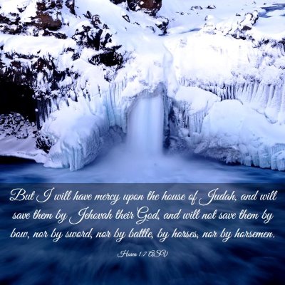 Picture 03 - Hosea 1:7 ASV - But I will have mercy upon the house of Judah, - Bible Verse Picture