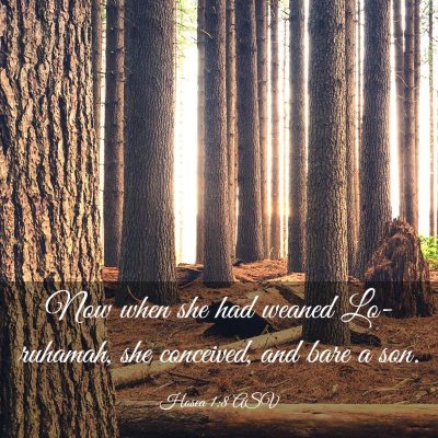 Picture 03 - Hosea 1:8 ASV - Now when she had weaned Lo-ruhamah, she - Bible Verse Picture