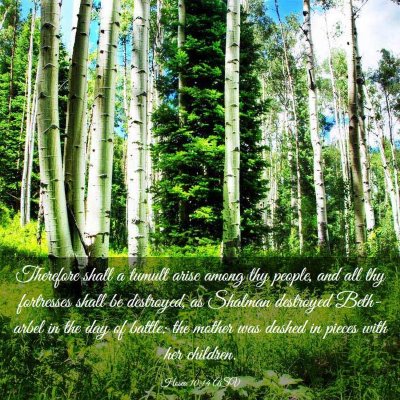 Picture 03 - Hosea 10:14 ASV - Therefore shall a tumult arise among thy people, - Bible Verse Picture