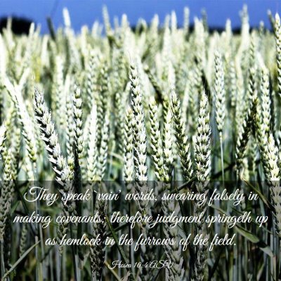 Picture 03 - Hosea 10:4 ASV - They speak `vain' words, swearing falsely in - Bible Verse Picture