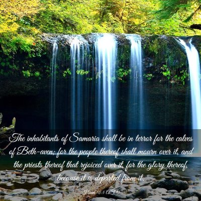 Picture 03 - Hosea 10:5 ASV - The inhabitants of Samaria shall be in terror for - Bible Verse Picture