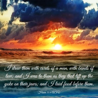 Picture 03 - Hosea 11:4 ASV - I drew them with cords of a man, with bands of - Bible Verse Picture