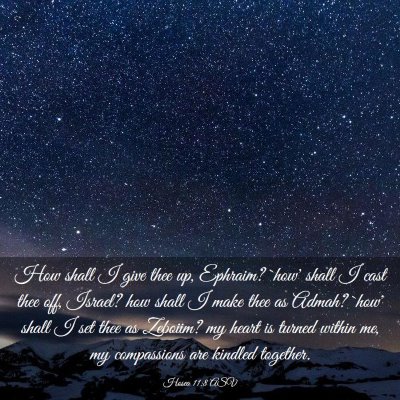 Picture 03 - Hosea 11:8 ASV - How shall I give thee up, Ephraim? `how' shall I - Bible Verse Picture