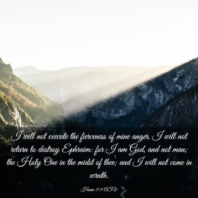 Picture 03 - Hosea 11:9 ASV - I will not execute the fierceness of mine anger, - Bible Verse Picture