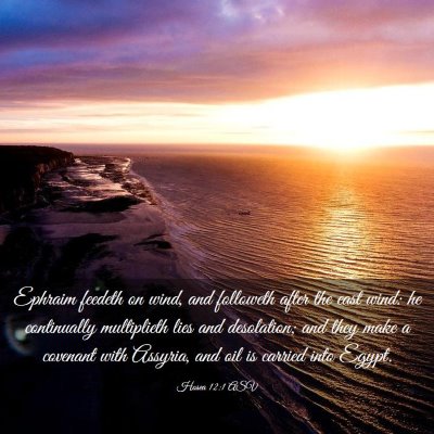 Picture 03 - Hosea 12:1 ASV - Ephraim feedeth on wind, and followeth after the - Bible Verse Picture