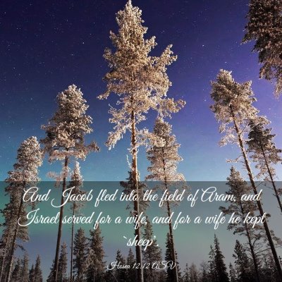 Picture 03 - Hosea 12:12 ASV - And Jacob fled into the field of Aram, and Israel - Bible Verse Picture