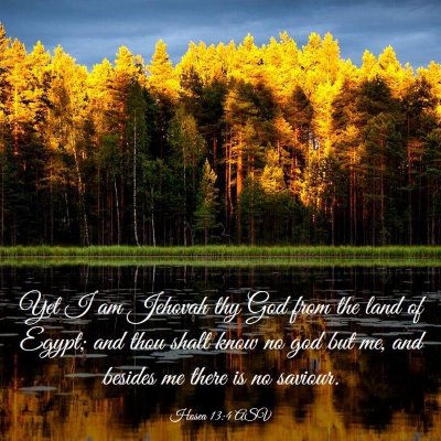 Picture 03 - Hosea 13:4 ASV - Yet I am Jehovah thy God from the land of Egypt; - Bible Verse Picture