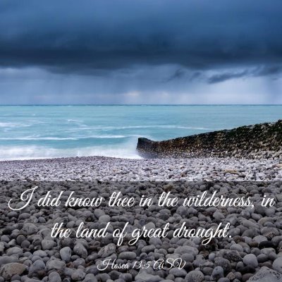 Picture 03 - Hosea 13:5 ASV - I did know thee in the wilderness, in the land of - Bible Verse Picture