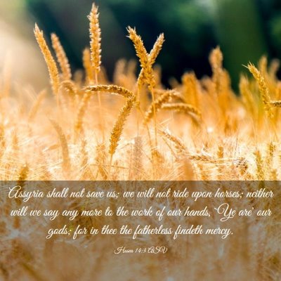 Picture 03 - Hosea 14:3 ASV - Assyria shall not save us; we will not ride upon - Bible Verse Picture