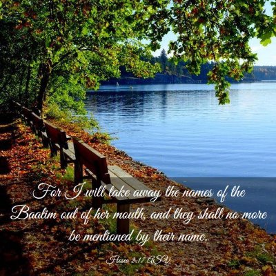 Picture 03 - Hosea 2:17 ASV - For I will take away the names of the Baalim out - Bible Verse Picture