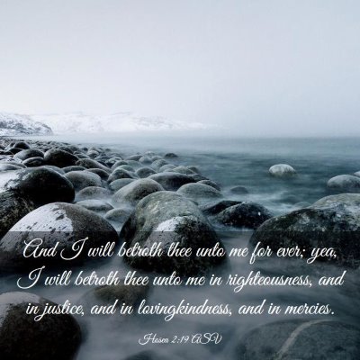 Picture 03 - Hosea 2:19 ASV - And I will betroth thee unto me for ever; yea, I - Bible Verse Picture