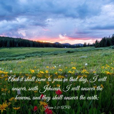 Picture 03 - Hosea 2:21 ASV - And it shall come to pass in that day, I will - Bible Verse Picture