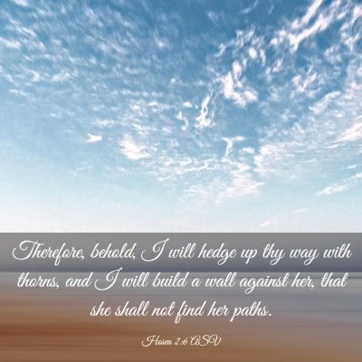 Picture 03 - Hosea 2:6 ASV - Therefore, behold, I will hedge up thy way with - Bible Verse Picture