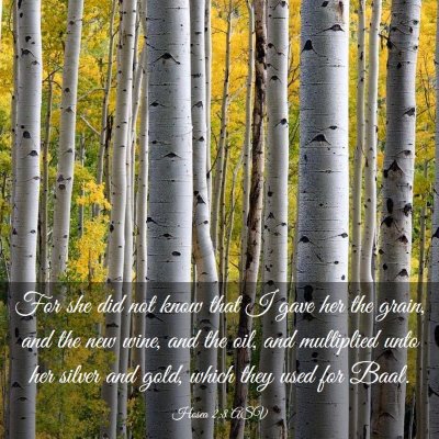 Picture 03 - Hosea 2:8 ASV - For she did not know that I gave her the grain, - Bible Verse Picture