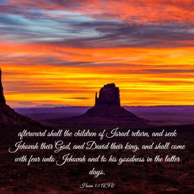 Picture 03 - Hosea 3:5 ASV - afterward shall the children of Israel return, - Bible Verse Picture
