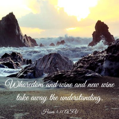 Picture 03 - Hosea 4:11 ASV - Whoredom and wine and new wine take away the - Bible Verse Picture