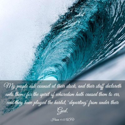 Picture 03 - Hosea 4:12 ASV - My people ask counsel at their stock, and their - Bible Verse Picture