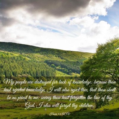 Picture 03 - Hosea 4:6 ASV - My people are destroyed for lack of knowledge: - Bible Verse Picture