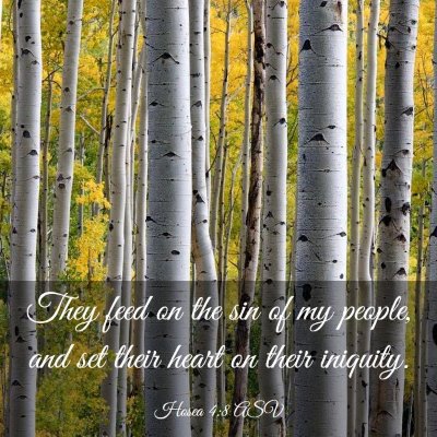 Picture 03 - Hosea 4:8 ASV - They feed on the sin of my people, and set their - Bible Verse Picture