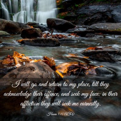 Picture 03 - Hosea 5:15 ASV - I will go and return to my place, till they - Bible Verse Picture