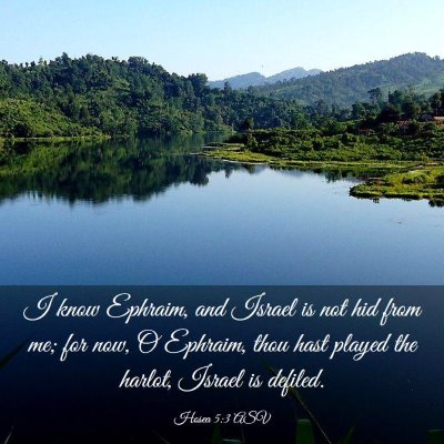 Picture 03 - Hosea 5:3 ASV - I know Ephraim, and Israel is not hid from me; - Bible Verse Picture