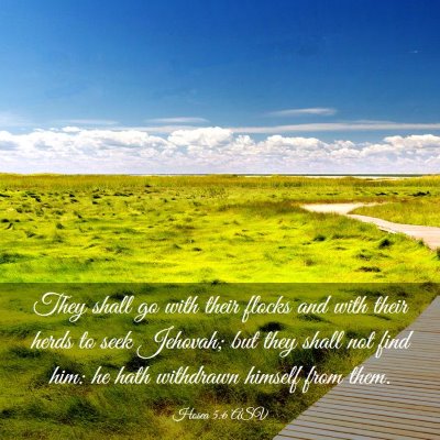 Picture 03 - Hosea 5:6 ASV - They shall go with their flocks and with their - Bible Verse Picture