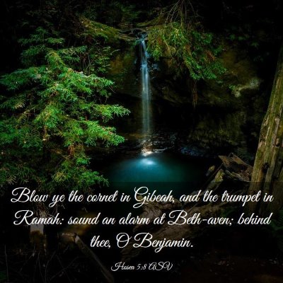 Picture 03 - Hosea 5:8 ASV - Blow ye the cornet in Gibeah, and the trumpet in - Bible Verse Picture