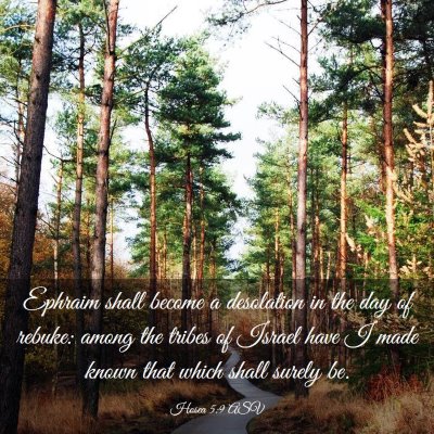 Picture 03 - Hosea 5:9 ASV - Ephraim shall become a desolation in the day of - Bible Verse Picture