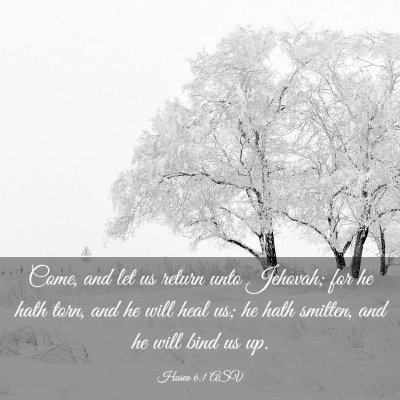 Picture 03 - Hosea 6:1 ASV - Come, and let us return unto Jehovah; for he hath - Bible Verse Picture
