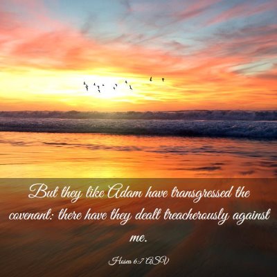 Picture 03 - Hosea 6:7 ASV - But they like Adam have transgressed the - Bible Verse Picture
