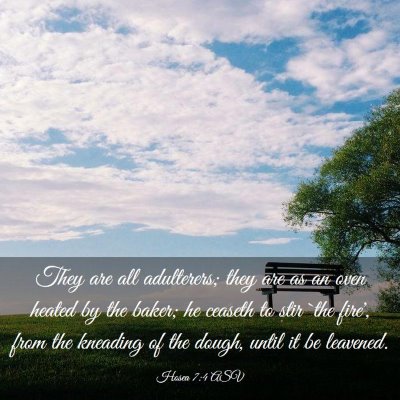 Picture 03 - Hosea 7:4 ASV - They are all adulterers; they are as an oven - Bible Verse Picture