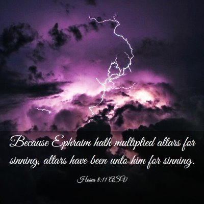 Picture 03 - Hosea 8:11 ASV - Because Ephraim hath multiplied altars for - Bible Verse Picture