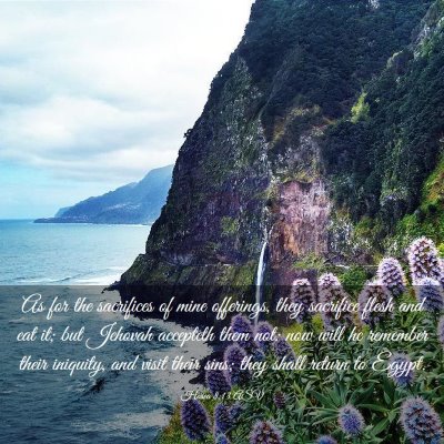 Picture 03 - Hosea 8:13 ASV - As for the sacrifices of mine offerings, they - Bible Verse Picture