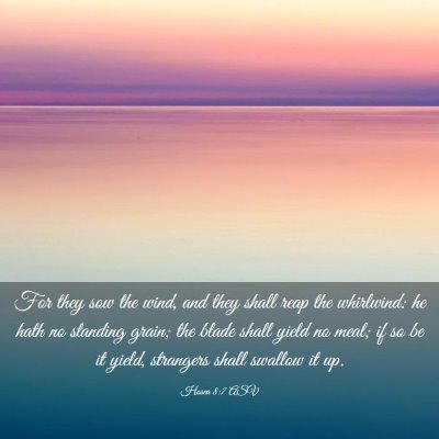 Picture 03 - Hosea 8:7 ASV - For they sow the wind, and they shall reap the - Bible Verse Picture