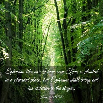 Picture 03 - Hosea 9:13 ASV - Ephraim, like as I have seen Tyre, is planted in - Bible Verse Picture