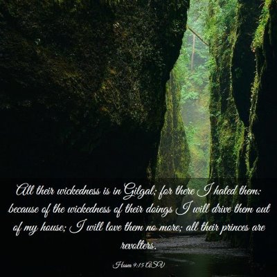 Picture 03 - Hosea 9:15 ASV - All their wickedness is in Gilgal; for there I - Bible Verse Picture