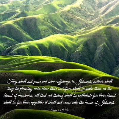 Picture 03 - Hosea 9:4 ASV - They shall not pour out wine-offerings to - Bible Verse Picture