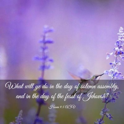 Picture 03 - Hosea 9:5 ASV - What will ye do in the day of solemn assembly, - Bible Verse Picture