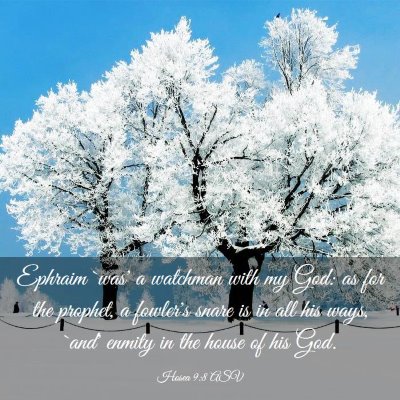 Picture 03 - Hosea 9:8 ASV - Ephraim `was' a watchman with my God: as for the - Bible Verse Picture